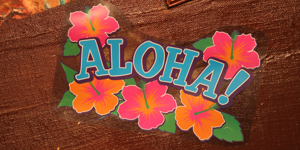And the winner is... Aloha! Choosing a web